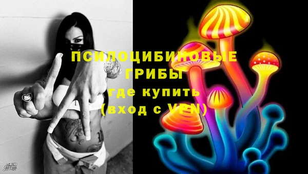 гидра Алексин
