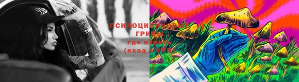 гидра Алексин