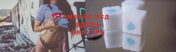 гидра Алексин