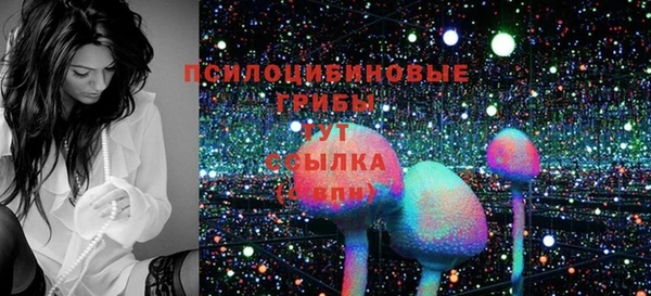 гидра Алексин