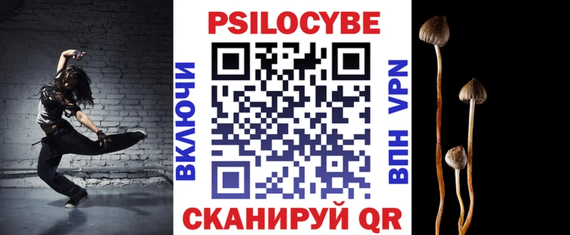 Псилоцибиновые грибы Psilocybine cubensis  закладки  Спасск-Рязанский 