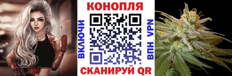 Каннабис ГИДРОПОН  купить  цена  Спасск-Рязанский 